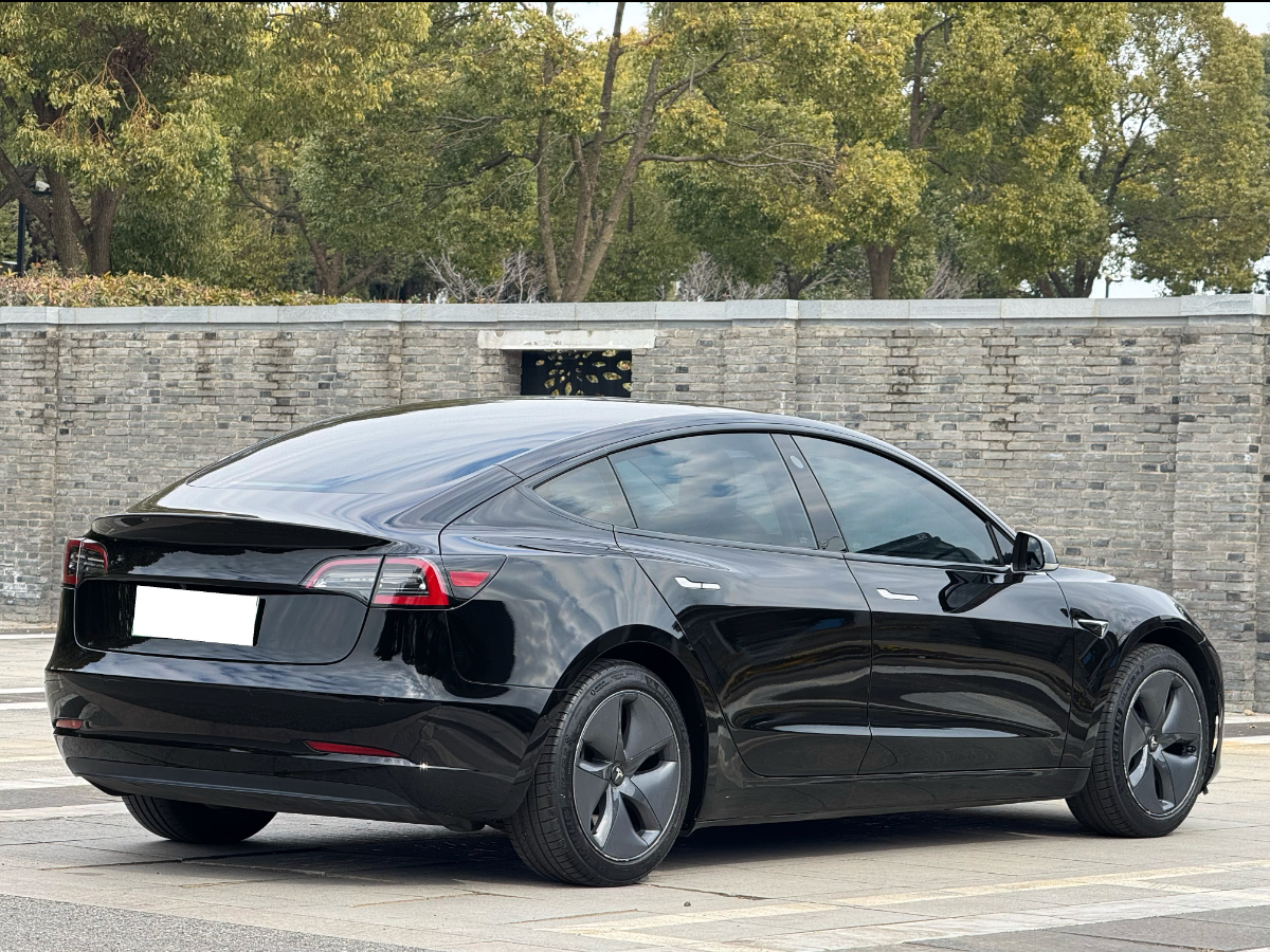 特斯拉 Model 3  2019款 標準續(xù)航后驅升級版圖片