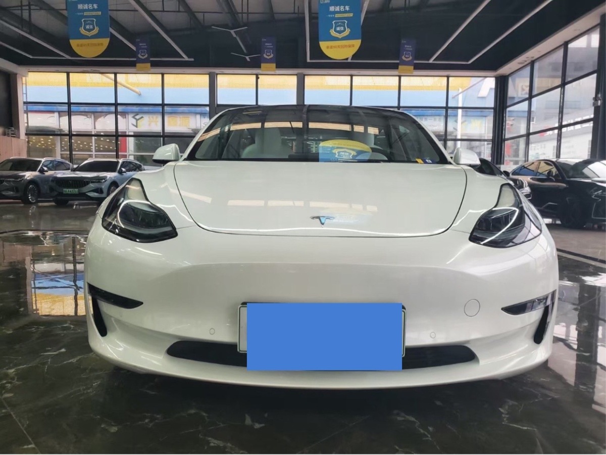 特斯拉 Model 3  2022款 Performance高性能全輪驅(qū)動版圖片