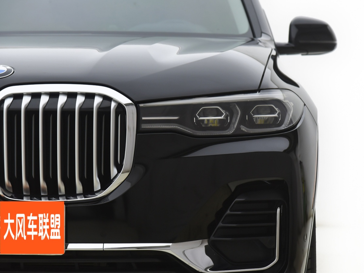 寶馬 寶馬X7  2019款  xDrive40i 領(lǐng)先型豪華套裝圖片