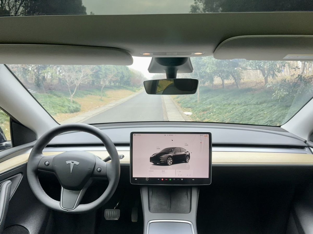 特斯拉 Model 3  2021款 改款 Performance高性能全輪驅動版圖片