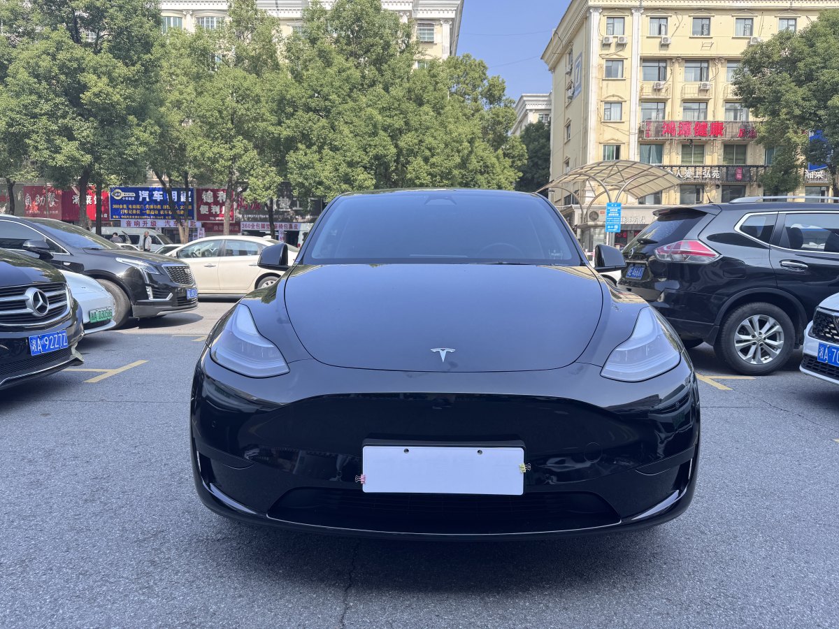 特斯拉 Model Y  2020款 改款 長(zhǎng)續(xù)航后輪驅(qū)動(dòng)版圖片