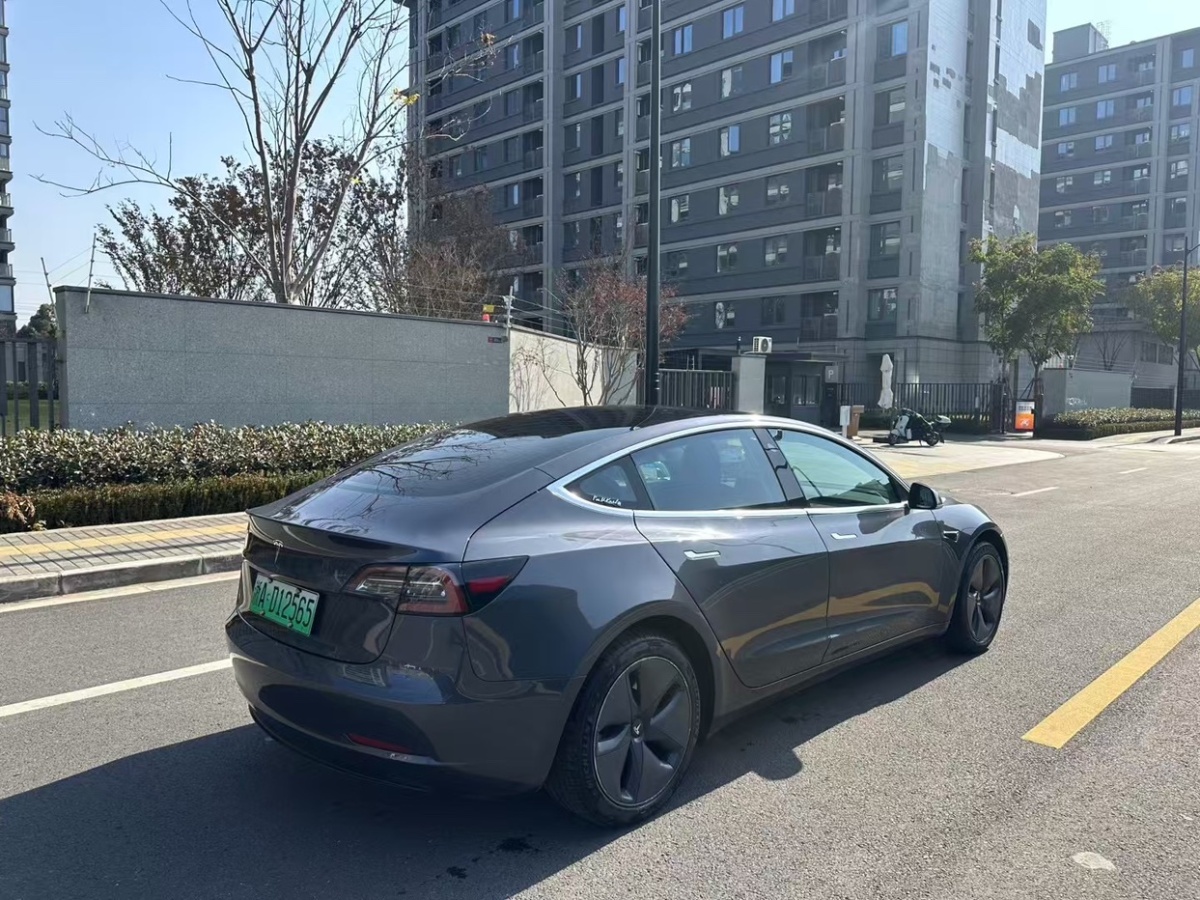 特斯拉 Model 3  2019款 Performance高性能全輪驅動版圖片