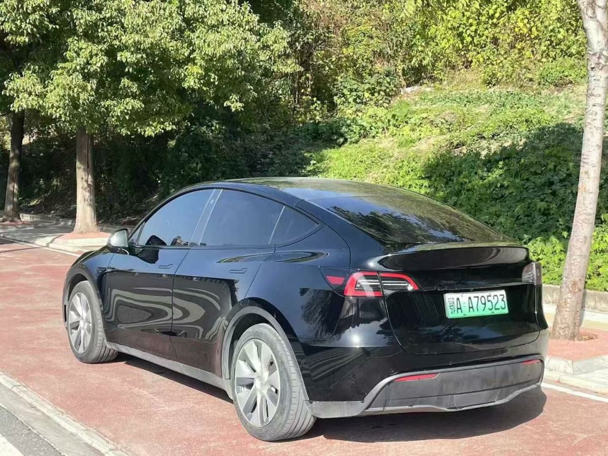 特斯拉 Model 3  2022款 Performance高性能全輪驅(qū)動(dòng)版圖片