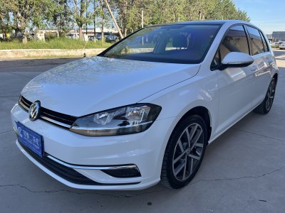 2020年8月 大众 高尔夫 挚爱版 200TSI DSG舒适型进取版图片