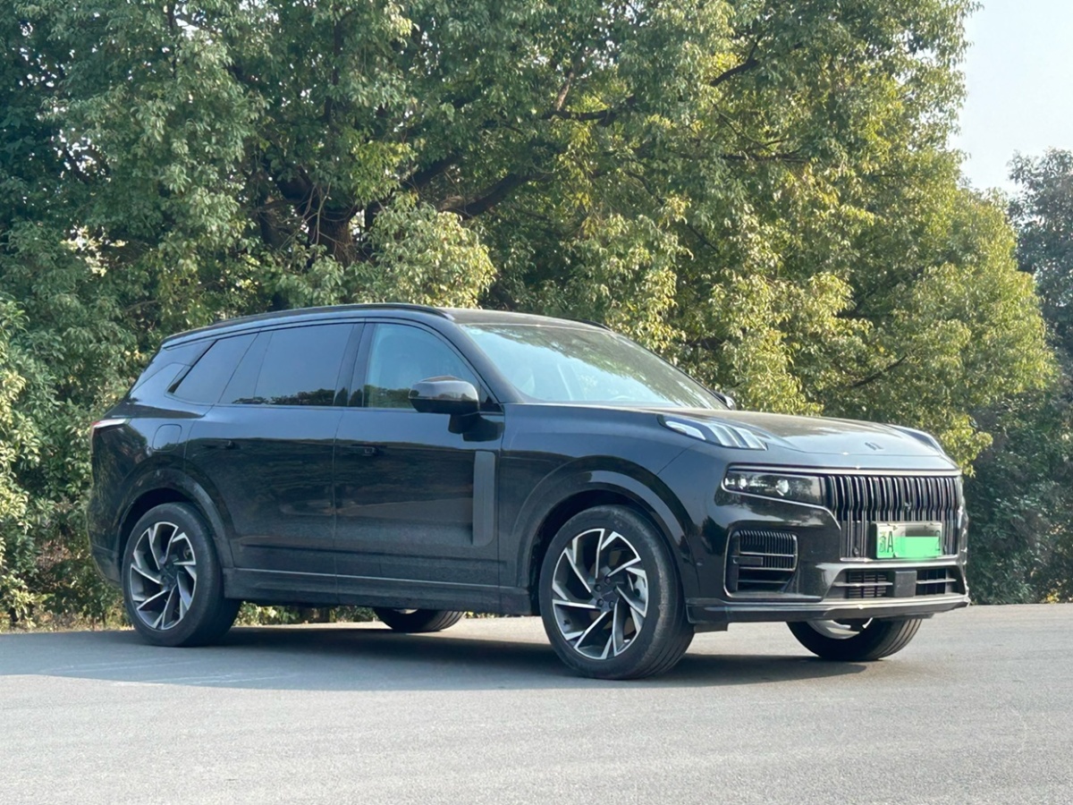 領(lǐng)克 領(lǐng)克09新能源  2021款 2.0T PHEV Pro 六座圖片