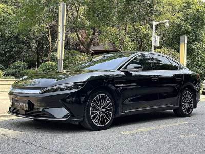 2022年6月 比亞迪 漢 EV 標(biāo)準(zhǔn)續(xù)航版豪華型圖片