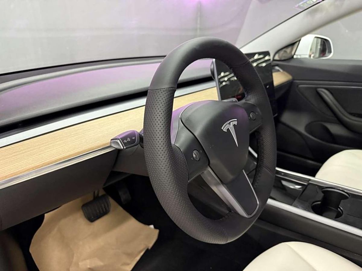 特斯拉 Model 3  2019款 標準續(xù)航后驅(qū)升級版圖片