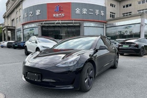 Model 3 特斯拉 改款 后轮驱动版