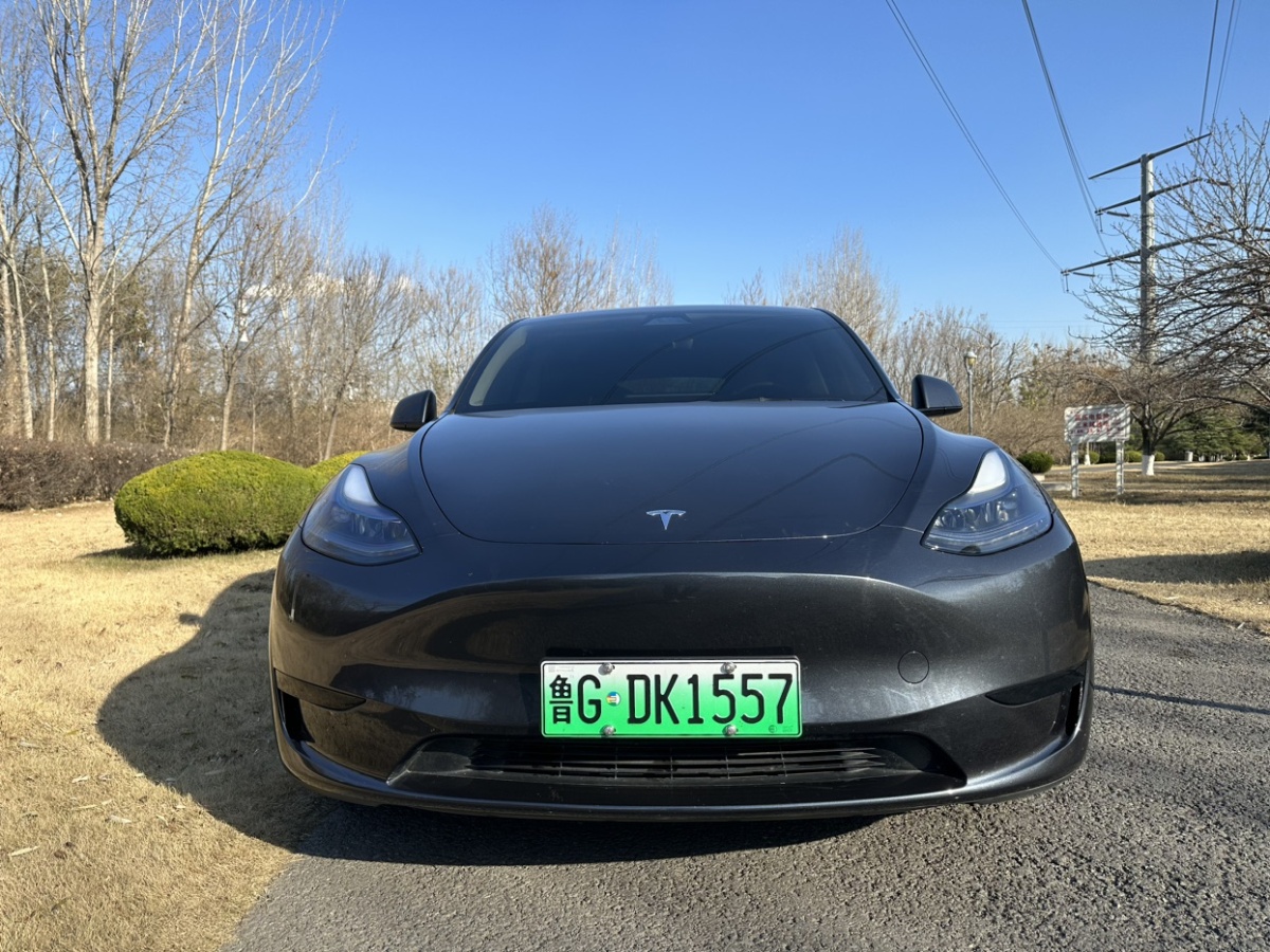 特斯拉 Model Y  2024款 后輪驅動版圖片