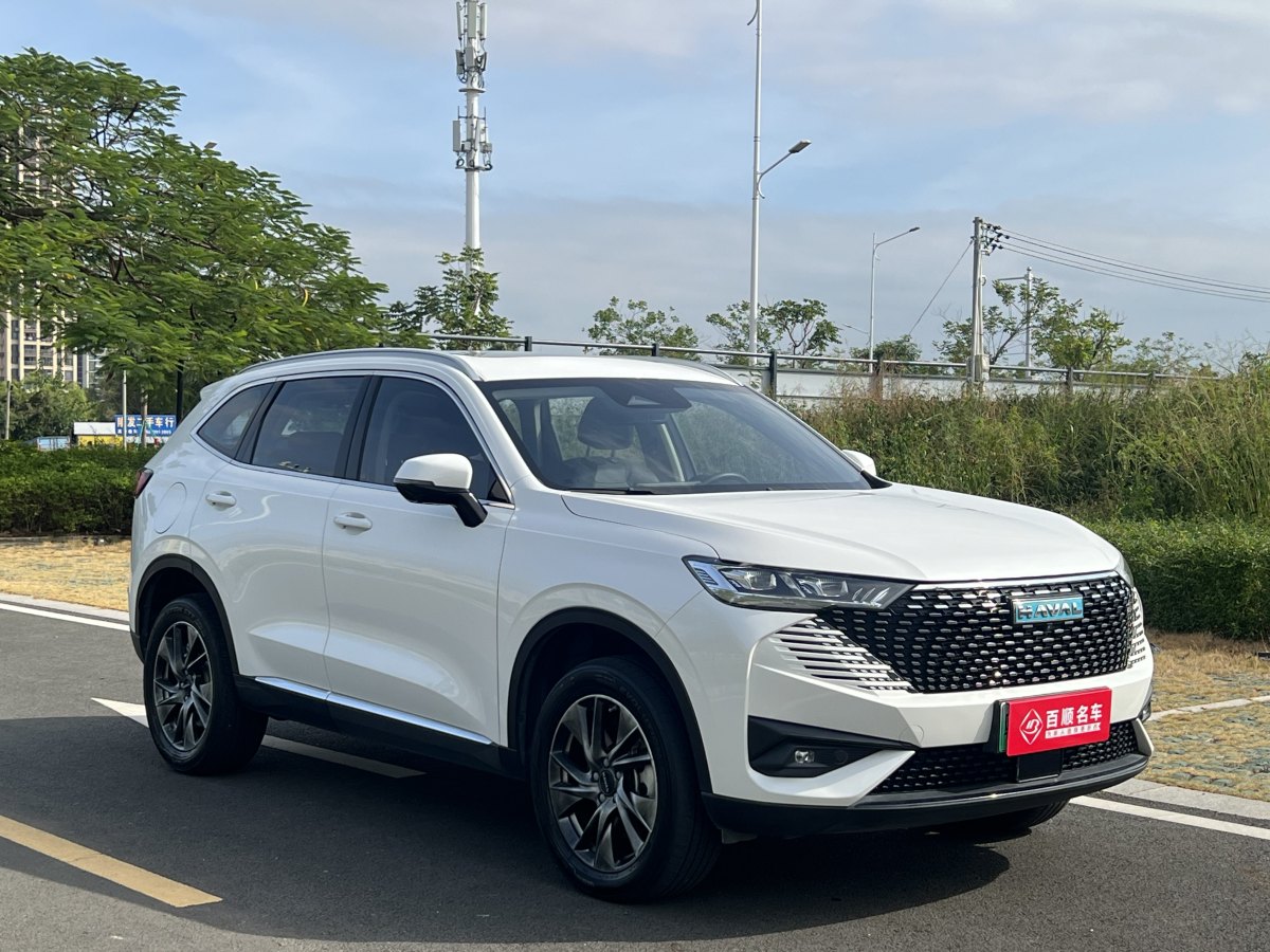 哈弗 哈弗H6新能源  2023款 DHT-PHEV 110KM 暢行版圖片