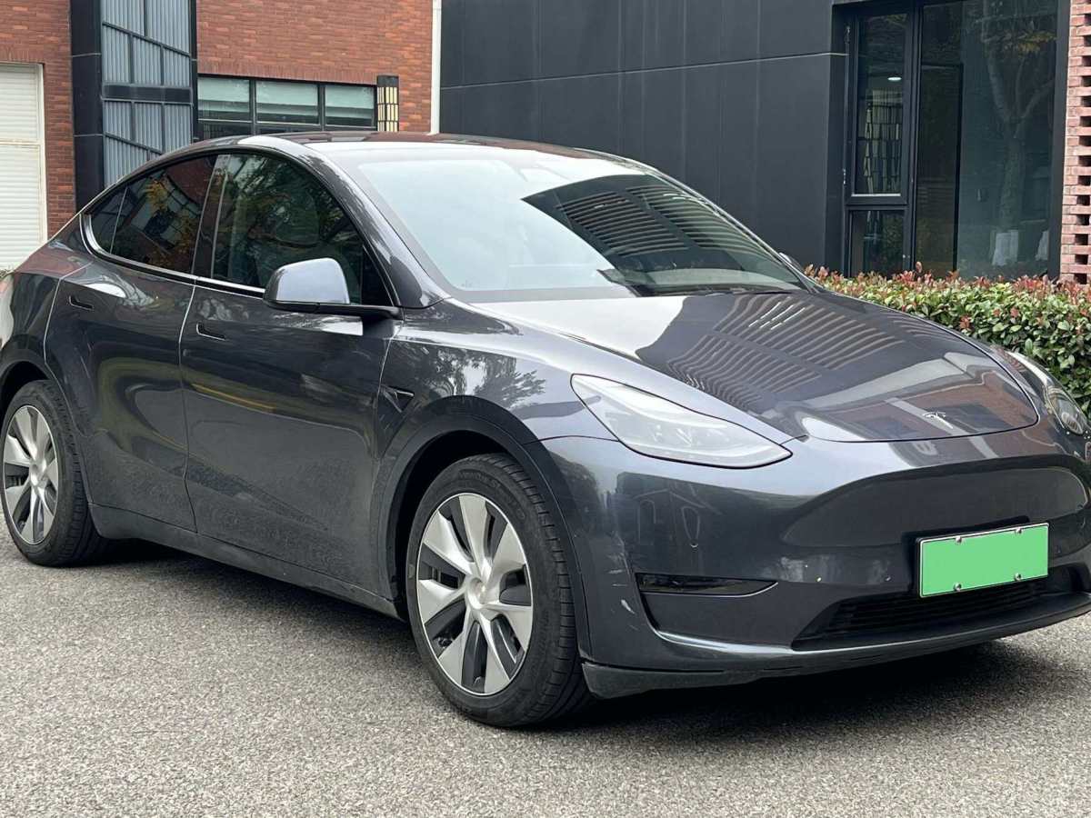 特斯拉 Model Y  2021款 長(zhǎng)續(xù)航全輪驅(qū)動(dòng)版 3D7圖片