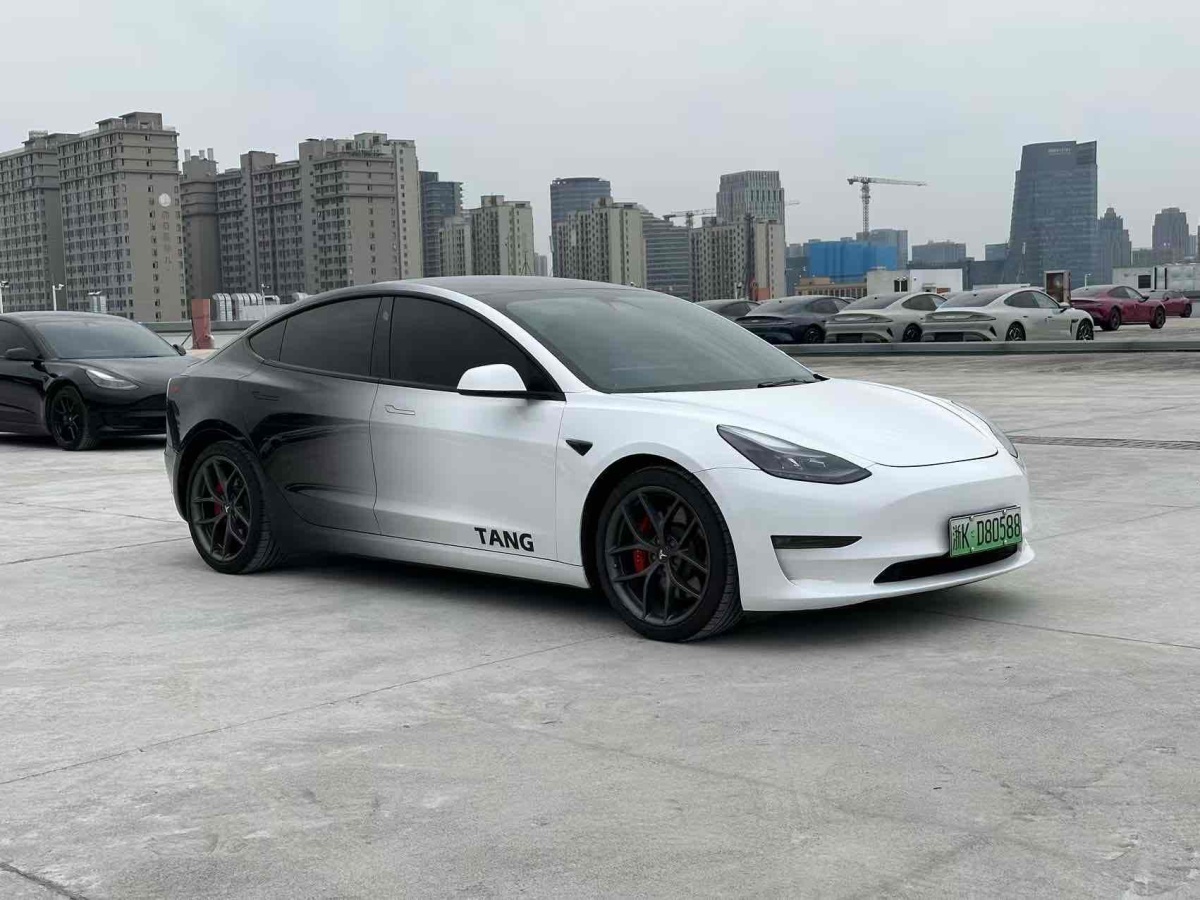 特斯拉 Model 3  2021款 改款 Performance高性能全輪驅動版圖片