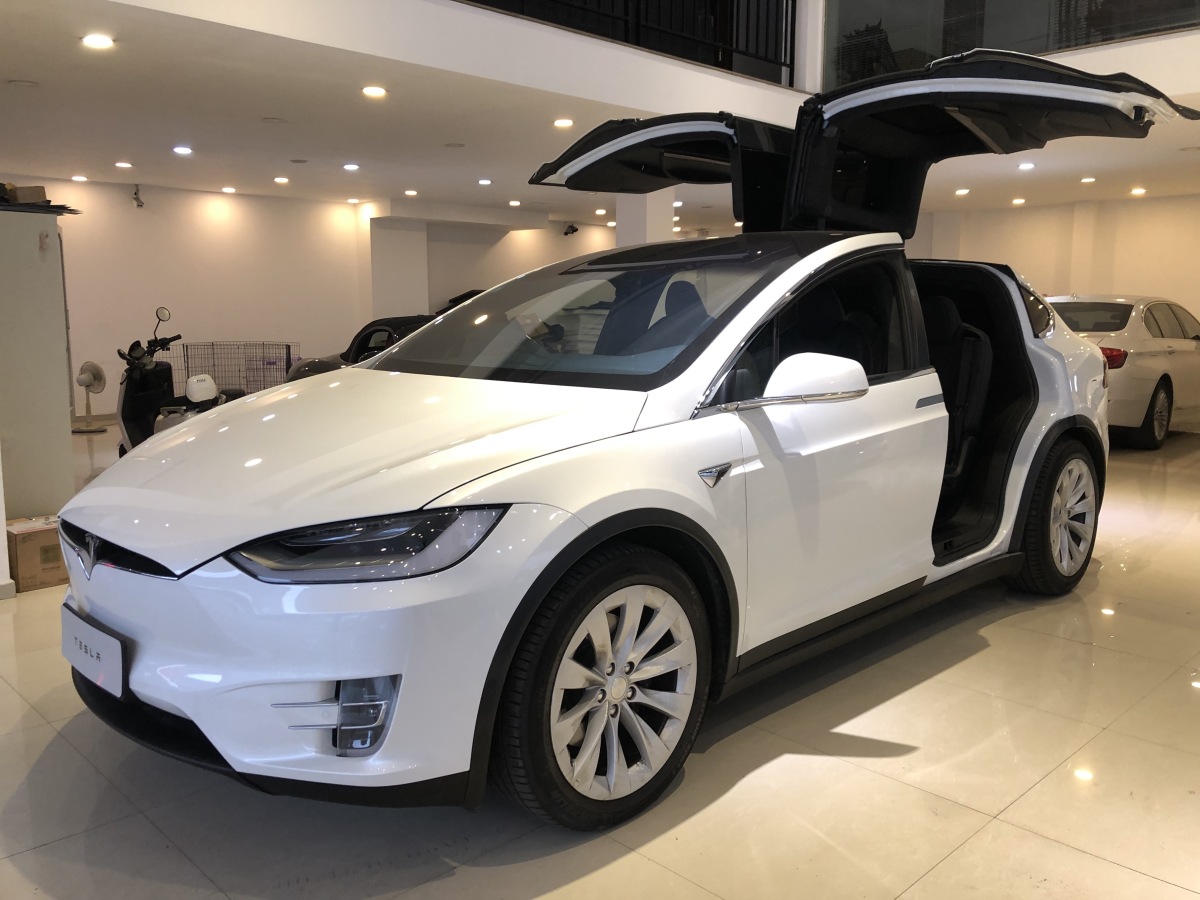 【溫州二手車】2020年1月_二手特斯拉 model x 2019款 長續航版_價格