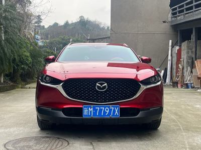 2021年1月 馬自達(dá) CX-30 2.0L 自動嘉悅型圖片