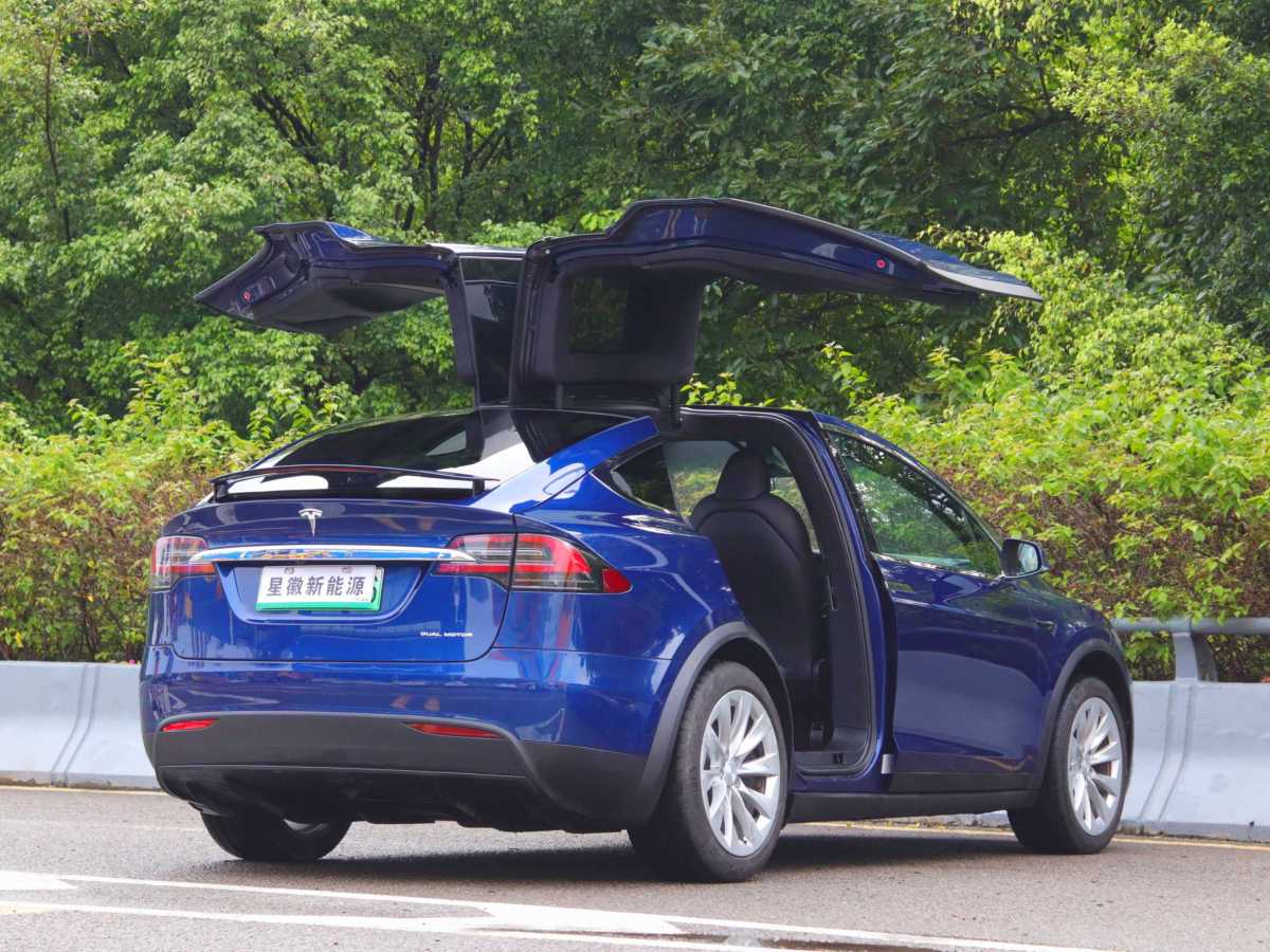 特斯拉 Model X  2019款 長續(xù)航版圖片