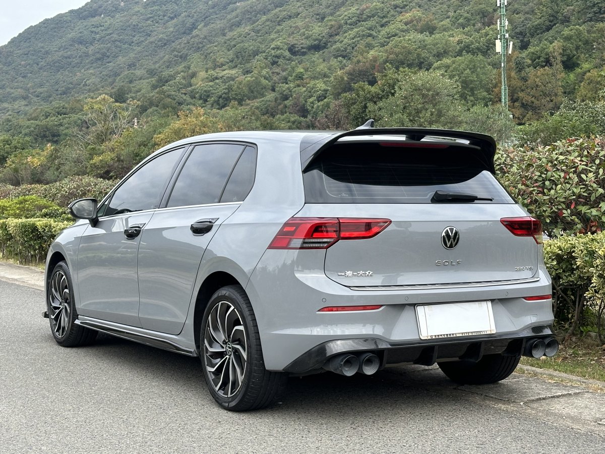 大眾 高爾夫  2021款 280TSI DSG Pro圖片