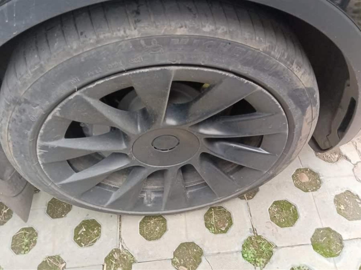 特斯拉 Model Y  2021款 標準續(xù)航后驅(qū)版圖片