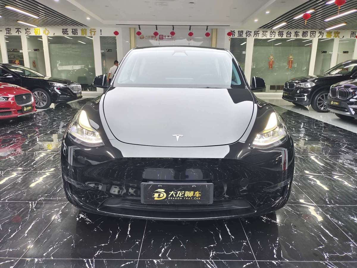 2021年6月特斯拉 Model 3  2021款 標(biāo)準(zhǔn)續(xù)航后驅(qū)版