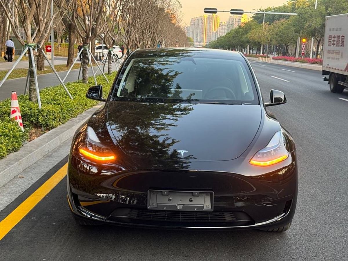 特斯拉 Model 3  2020款 改款 長(zhǎng)續(xù)航后輪驅(qū)動(dòng)版圖片