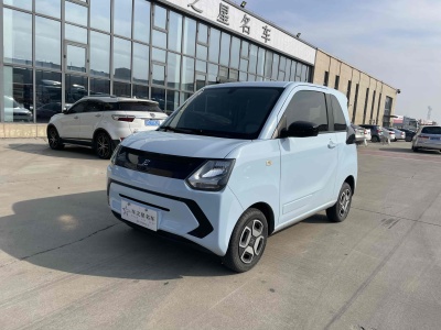 2022年5月 东风风光 风光MINIEV 实尚款 豪华型图片