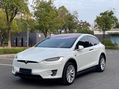 2018年7月 特斯拉 Model X Model X 100D 長續(xù)航版圖片