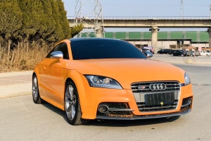 奧迪TTS 奧迪 TTS Roadster 2.0TFSI quattro