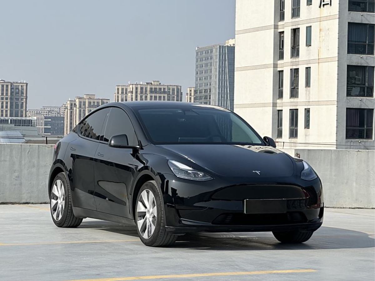 特斯拉 Model 3  2020款 改款 長(zhǎng)續(xù)航后輪驅(qū)動(dòng)版圖片