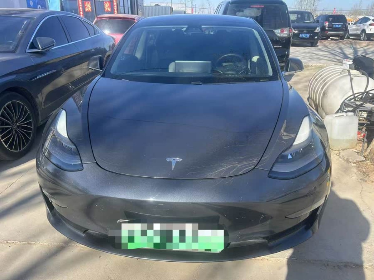 特斯拉 Model 3  2020款 改款 長續(xù)航后輪驅(qū)動版圖片