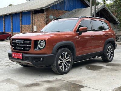 2021年3月 哈弗 哈弗大狗 改款 1.5T DCT兩驅(qū)馬犬-旺財(cái)版圖片