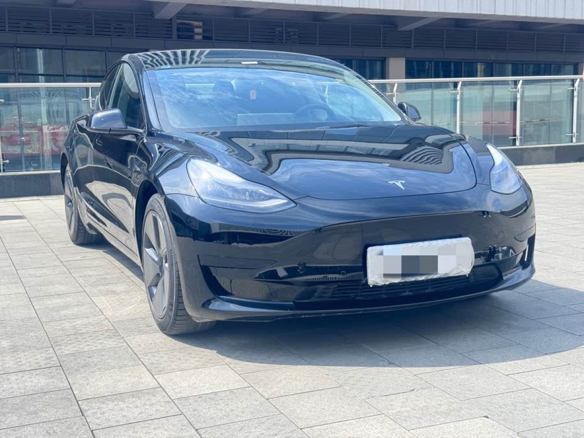特斯拉 Model 3  2021款 改款 標(biāo)準(zhǔn)續(xù)航后驅(qū)升級(jí)版圖片