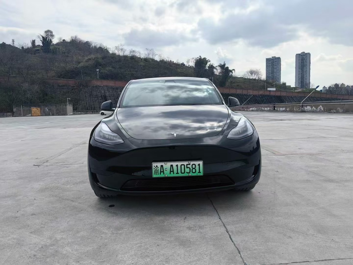 特斯拉 Model Y 圖片