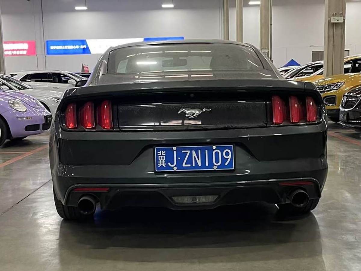 福特 Mustang  2016款 2.3T 運動版圖片