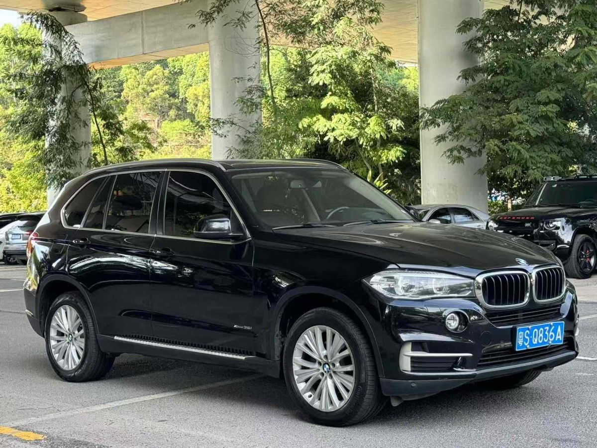 寶馬 寶馬X5  2014款 xDrive35i 領(lǐng)先型圖片