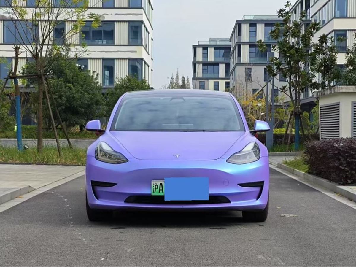 特斯拉 Model 3  2021款 改款 標(biāo)準(zhǔn)續(xù)航后驅(qū)升級(jí)版圖片