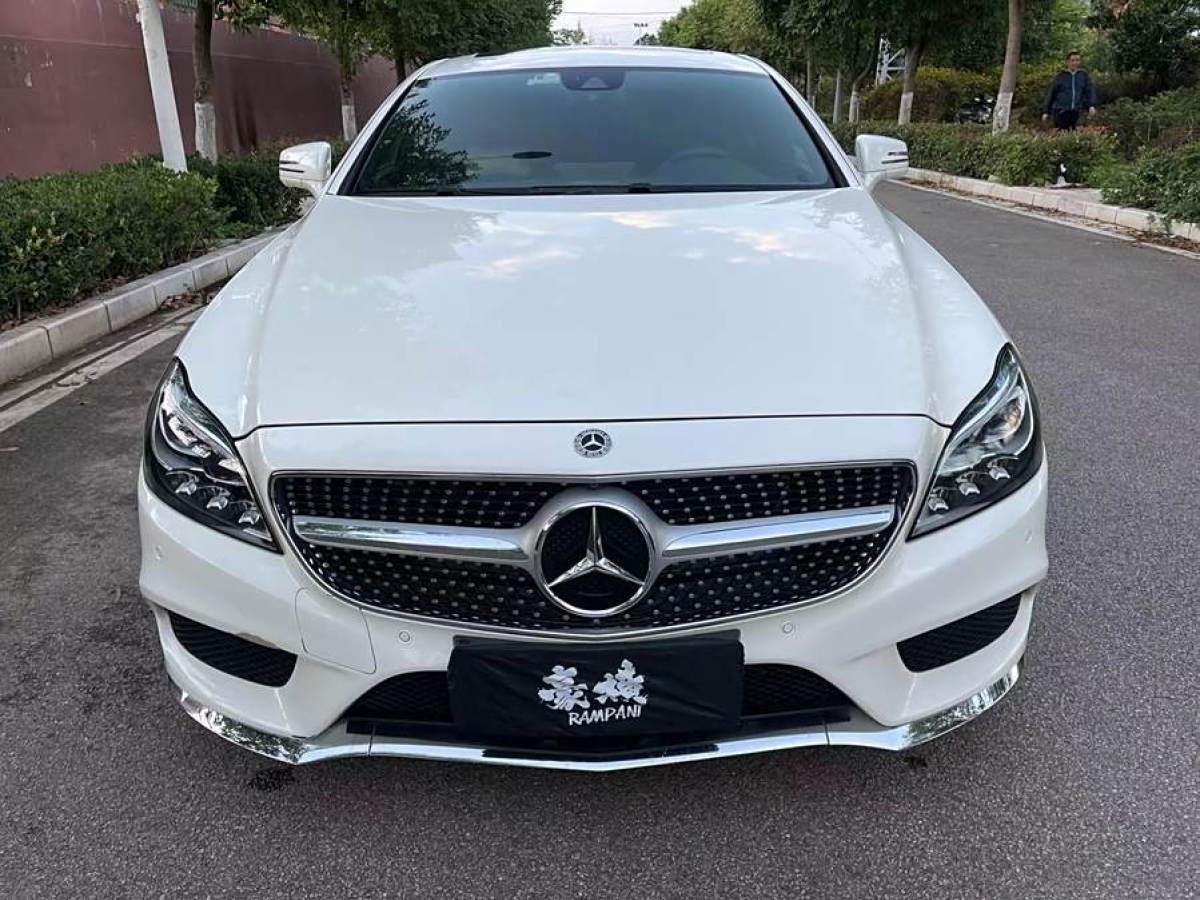 2018年2月奔驰 奔驰CLS级  2015款 CLS 320