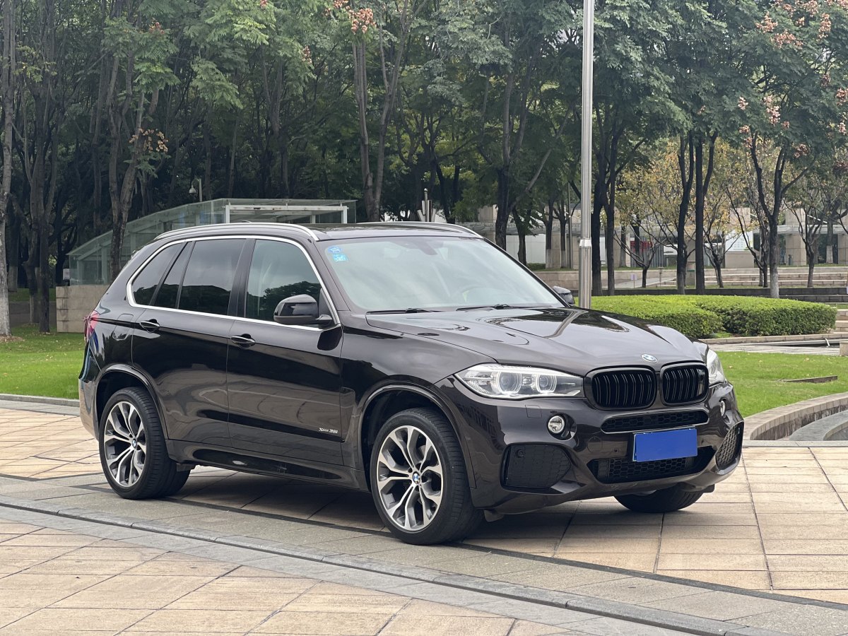 寶馬 寶馬X5  2014款 xDrive35i 豪華型圖片