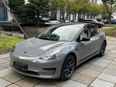 2021年7月 特斯拉 Model 3 標(biāo)準(zhǔn)續(xù)航后驅(qū)升級(jí)版圖片