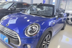 MINI MINI 1.5T COOPER CABRIO 藝術(shù)家