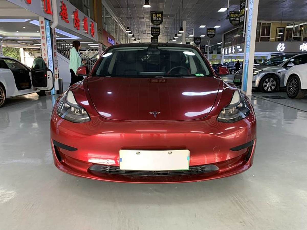 特斯拉 Model 3  2021款 改款 標準續(xù)航后驅(qū)升級版圖片