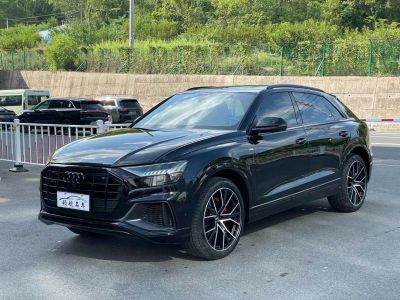 2021年1月 奧迪 奧迪SQ5(進(jìn)口) 3.0 TFSI quattro圖片