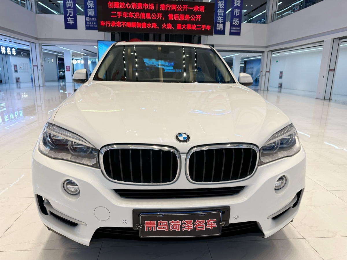 寶馬 寶馬X5  2014款 xDrive35i 領(lǐng)先型圖片