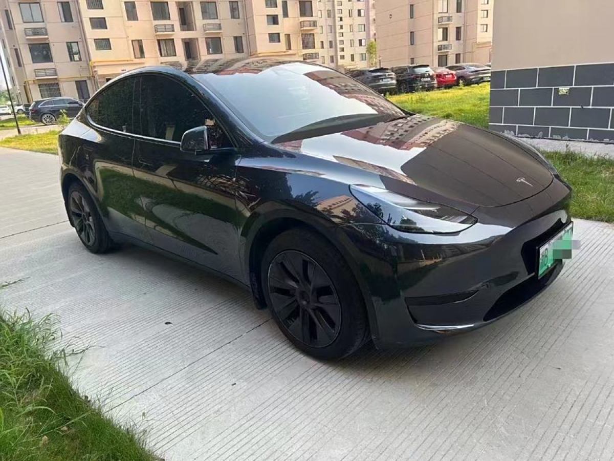 特斯拉 Model Y  2020款 改款 長續(xù)航后輪驅(qū)動(dòng)版圖片