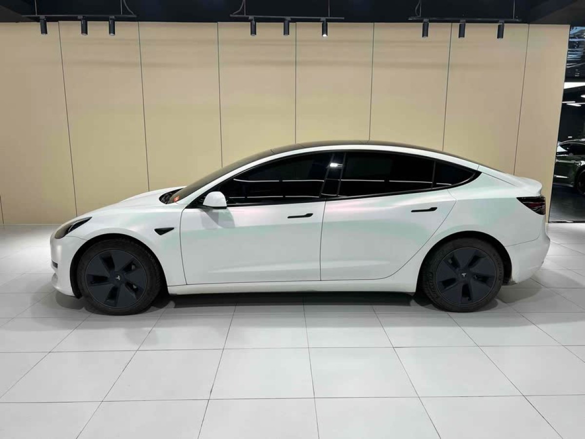 特斯拉 Model 3  2021款 改款 標準續(xù)航后驅(qū)升級版圖片