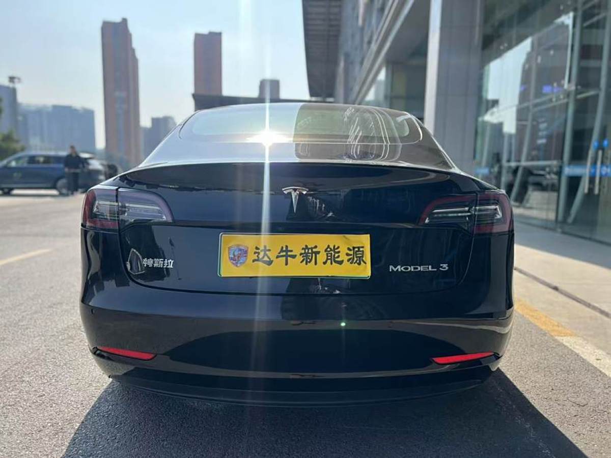 特斯拉 Model 3  2020款 改款 標(biāo)準(zhǔn)續(xù)航后驅(qū)升級(jí)版圖片