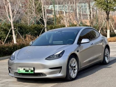 2021年3月 特斯拉 Model 3 標準續(xù)航后驅(qū)升級版圖片