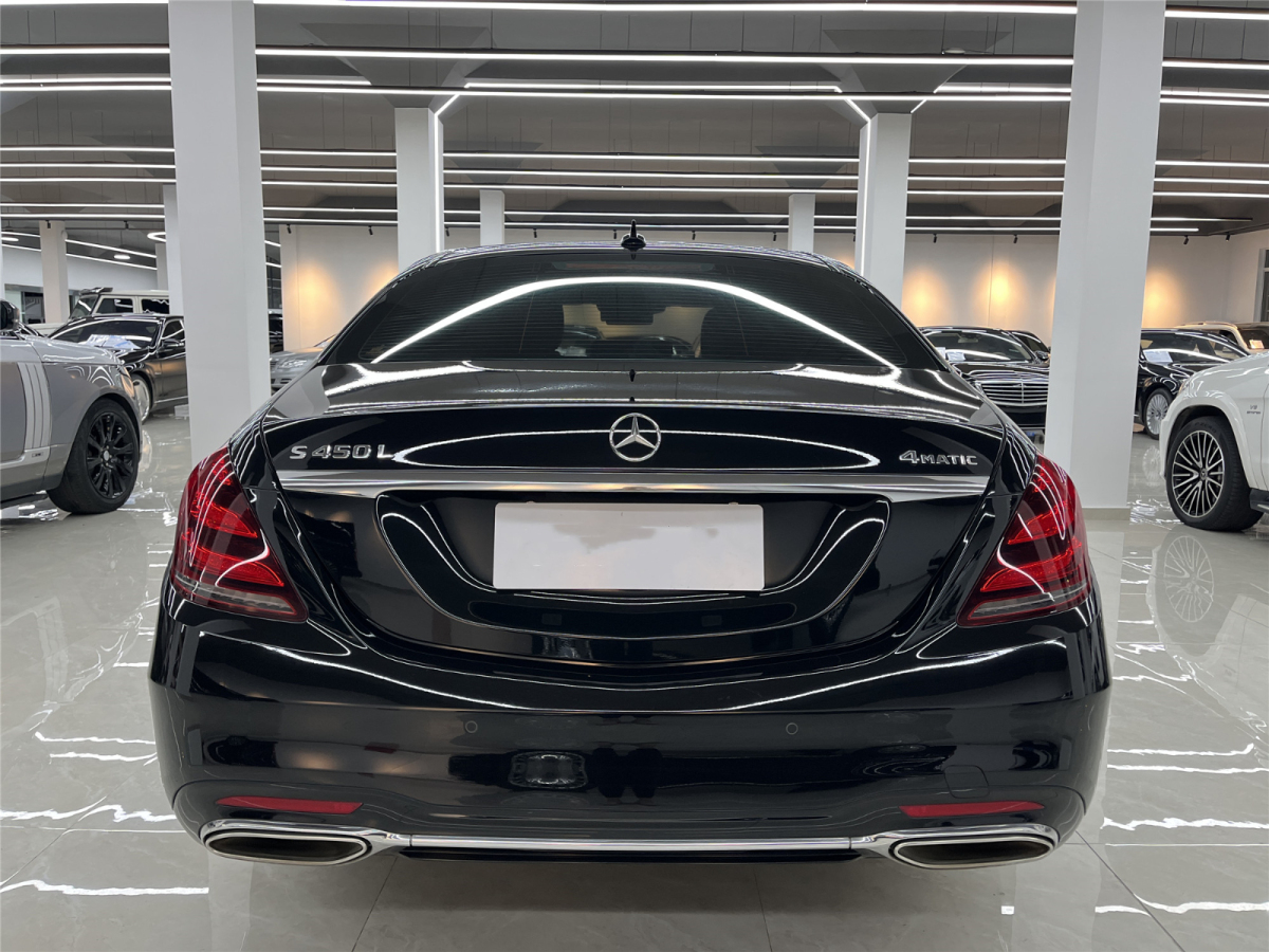 奔馳 奔馳S級  2020款 S 450 L 4MATIC 臻藏版圖片