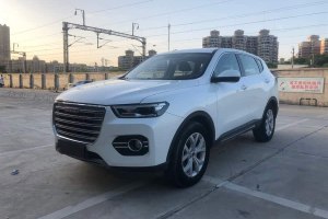 H6 哈弗 換代 藍(lán)標(biāo) 1.3T 自動(dòng)兩驅(qū)時(shí)尚型