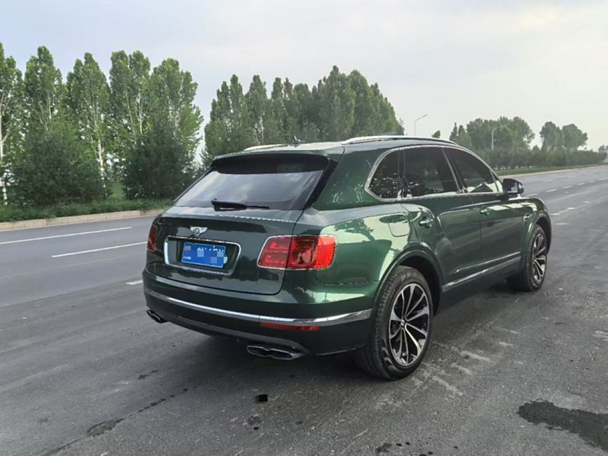 賓利 添越  2021款 4.0T V8圖片