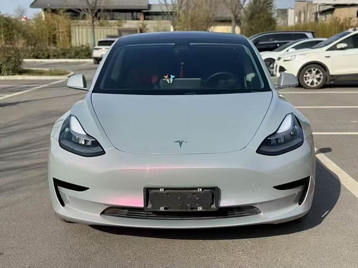 特斯拉 Model 3  2019款 標(biāo)準(zhǔn)續(xù)航后驅(qū)升級(jí)版圖片