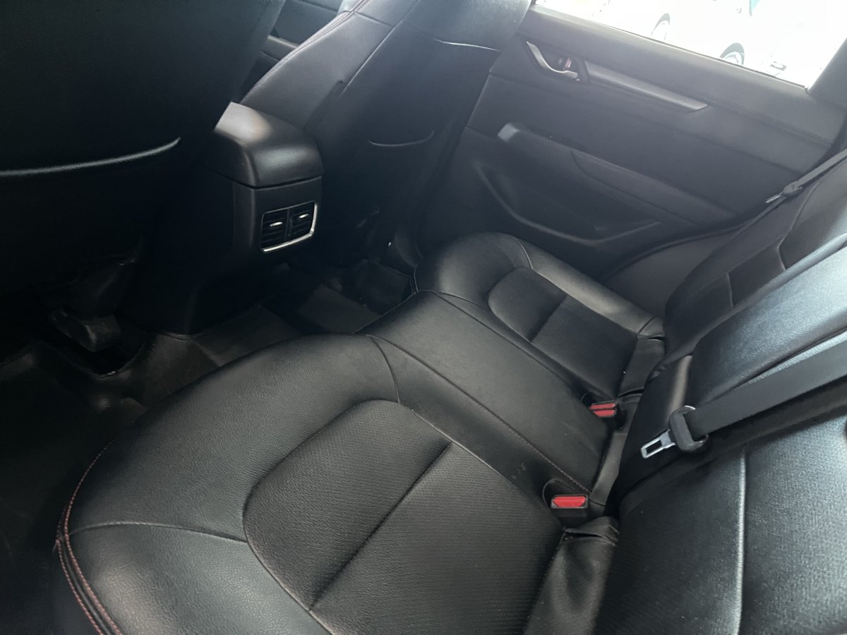 馬自達(dá) CX-5  2019款  云控版 2.0L 自動(dòng)兩驅(qū)智尚型 國VI圖片